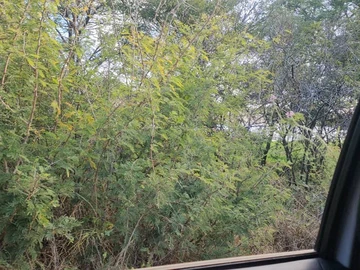 Farm & Agricultural Land