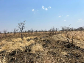 Farm & Agricultural Land