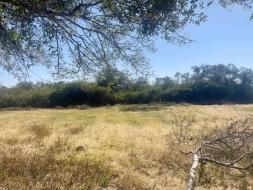 Gumtree plot for sale