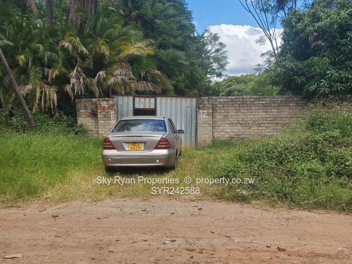 Avondale Stand For Sale