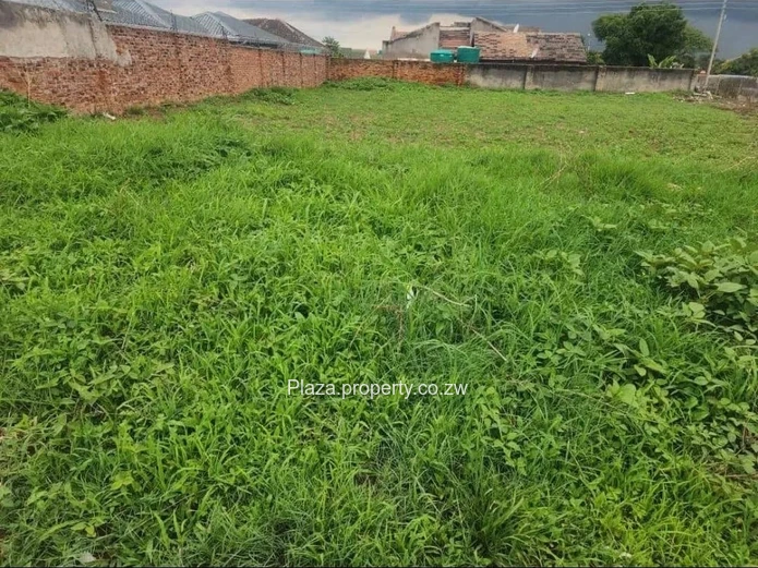 Prime opportunity in Old Zimre Park! ??