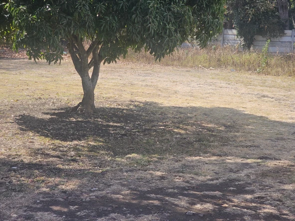 Commercial & Industrial Land