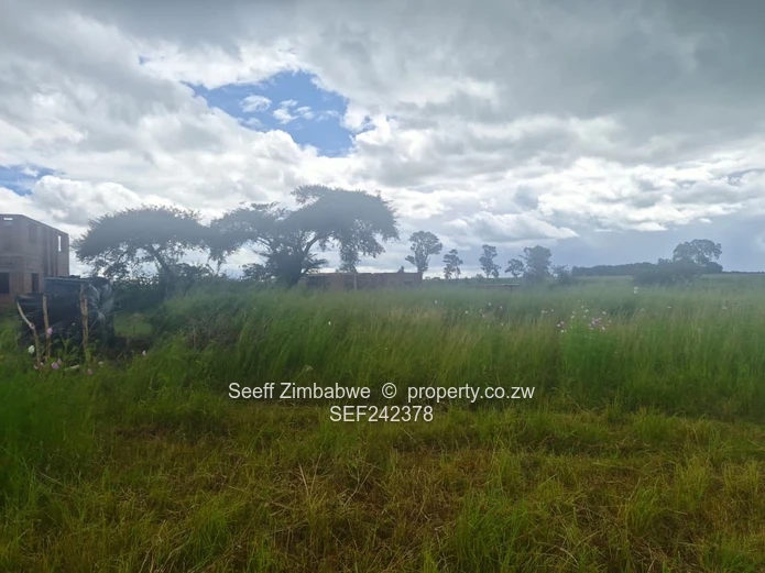 300m² Stand in Nyabira — Level Plot, Road & Power (Sole Mandate)