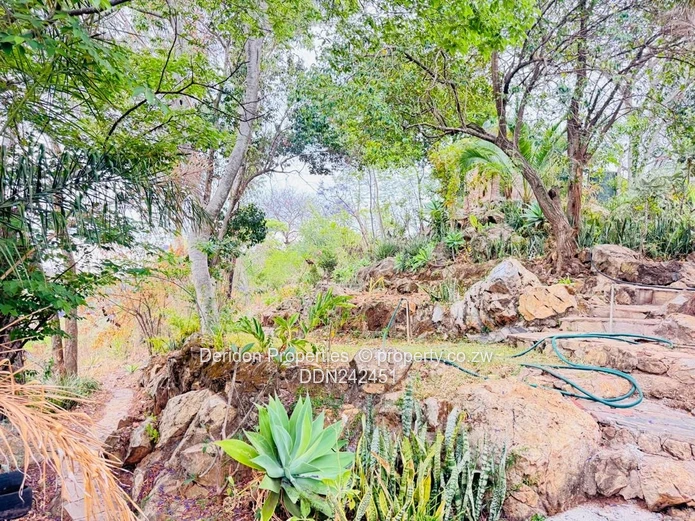 Glen?Lorne Family Estate – Your Private Retreat!