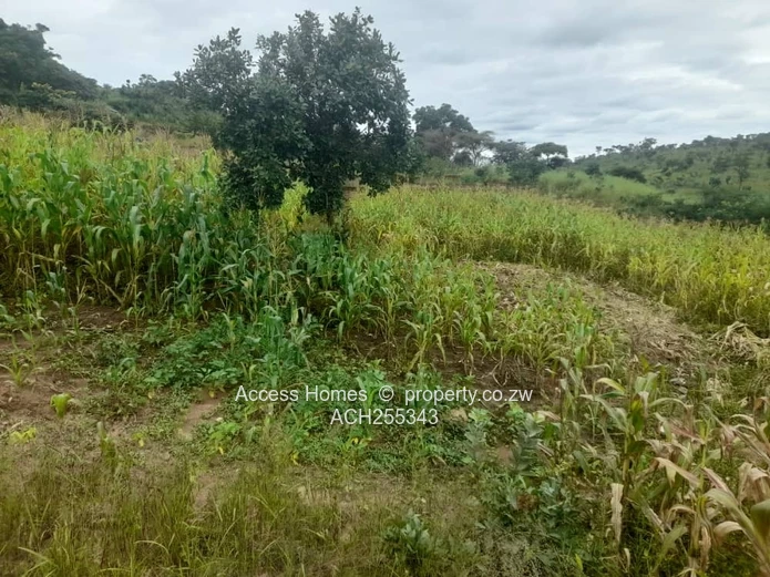 Gweru Hertfordshire Stand for sale 
