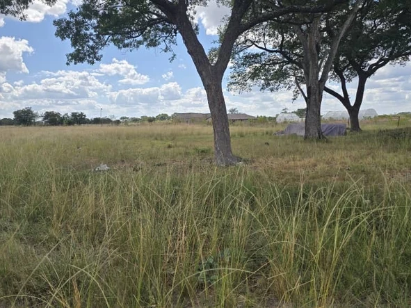 Farm & Agricultural Land