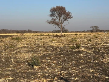 Farm & Agricultural Land