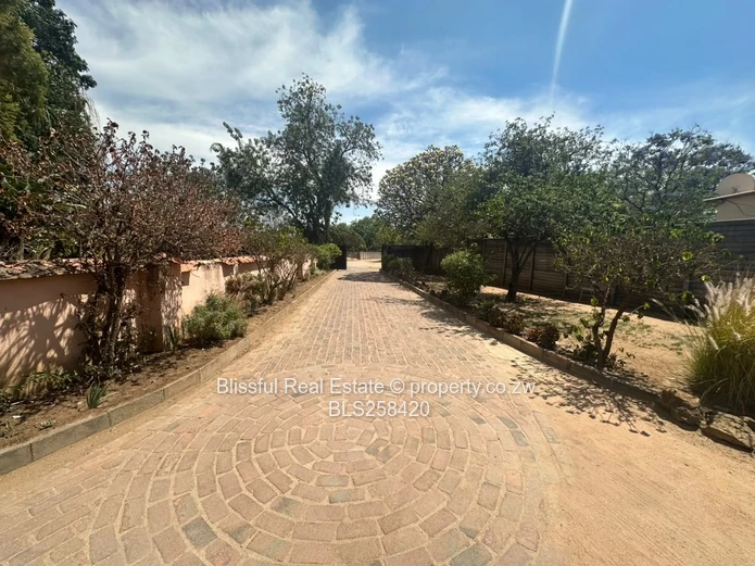 Gated 4-Bed Furnished House with Pool & Borehole, Hatfield