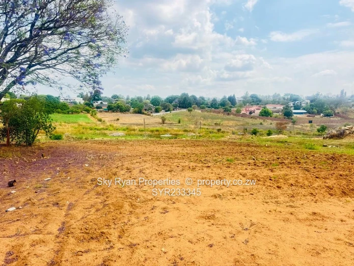 Borrowdale Helensvale Stand For Sale 