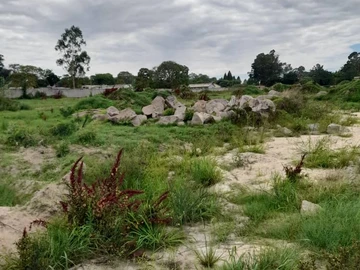 Stands & Residential Land