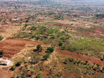 Farm & Agricultural Land