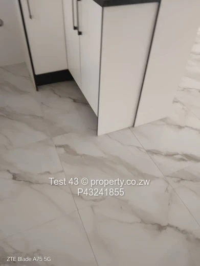 Rental house in Chi town