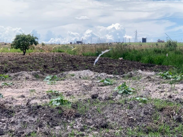 Commercial & Industrial Land