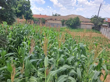 Stands & Residential Land