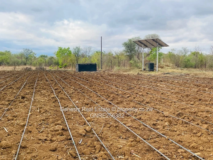 2Ha Of Versatile Country Living And Investment Potential