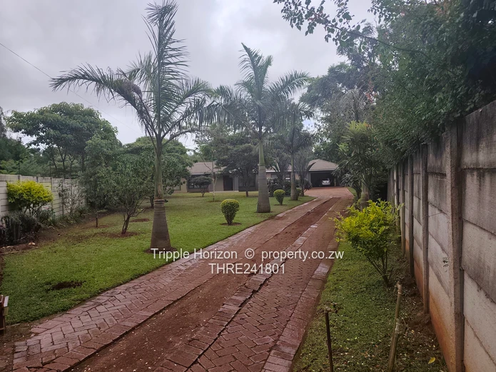 Borrowdale- Sam Levy (Sole Mandate)