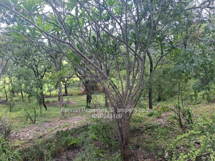 Lifestyle In Close Proximity To Nature!