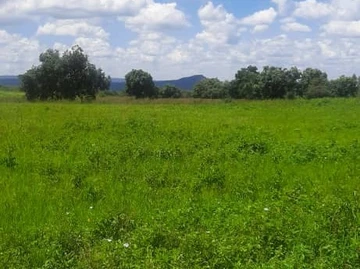 Farm & Agricultural Land