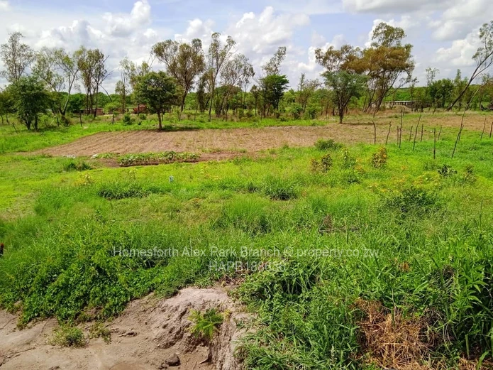 Kadoma Clonmoran Plot 