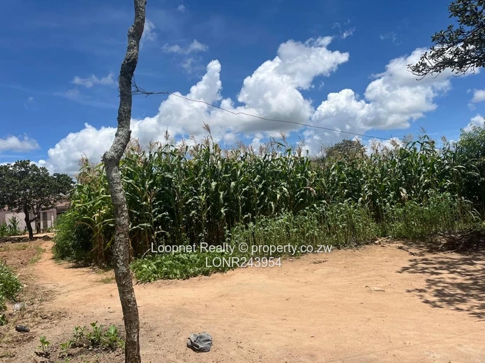 Crowhill Views 1000m² Stand