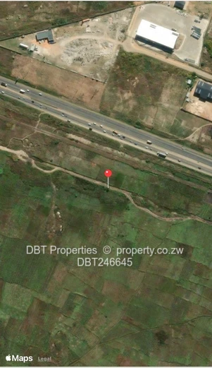 Investment Delight