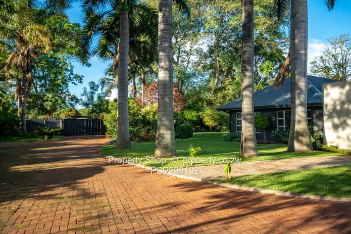 Nestled In The Vibrant Commercial Hub