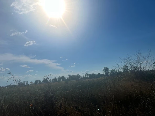 Commercial & Industrial Land