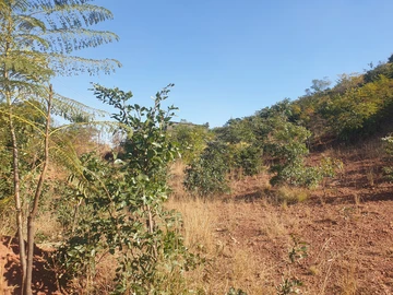 Land
