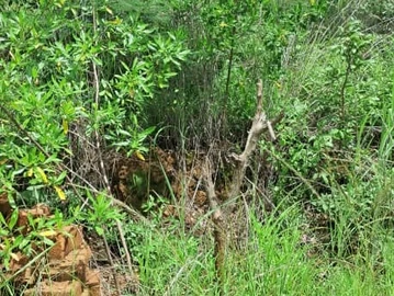 Marondera Rotsvlei Park 