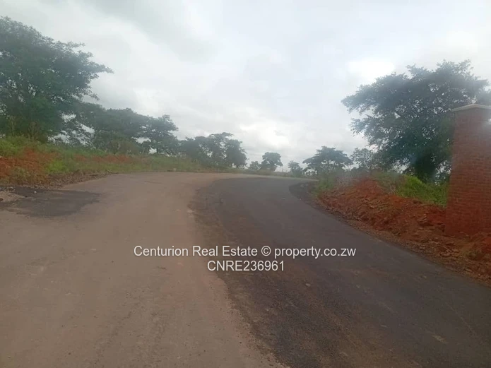 Pomona Wild Geese stand for sale