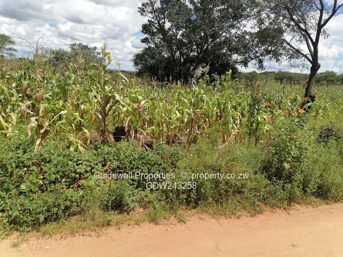 4000sqm stand for sale in Ridgemont  Park in Gweru
