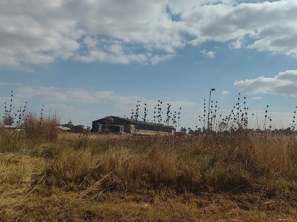 Commercial & Industrial Land