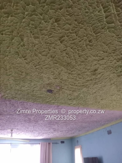 Investment Opportunity In Budiriro 5 B