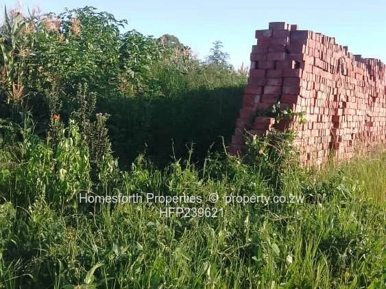 Investment Opportunity 