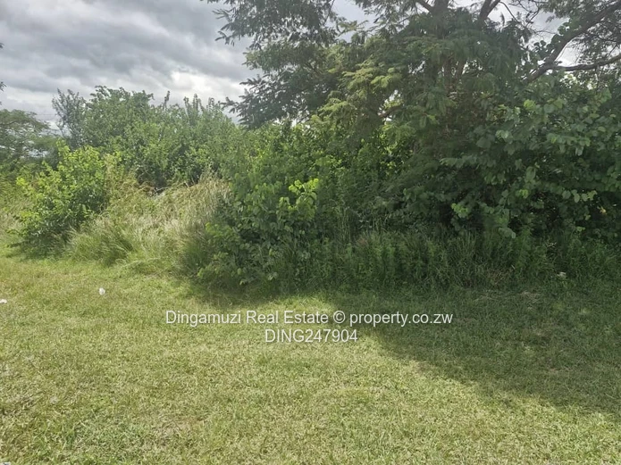 Agro residential with commercial rights - along Bulawayo Road