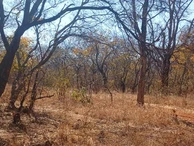 Farm & Agricultural Land