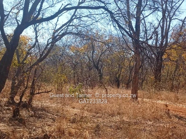 Plot For Sale In Norton