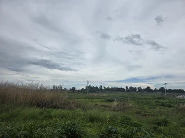 Commercial & Industrial Land