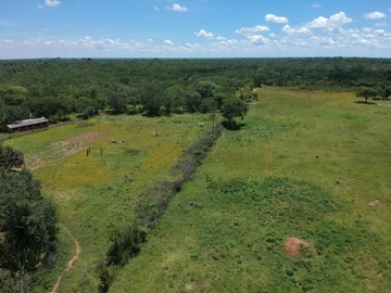 Farm & Agricultural Land