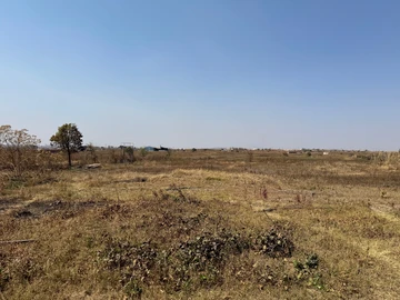 Farm & Agricultural Land