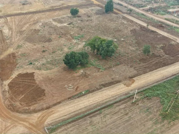 Commercial & Industrial Land
