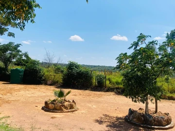 Farm & Agricultural Land