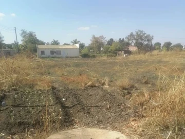 Stands & Residential Land