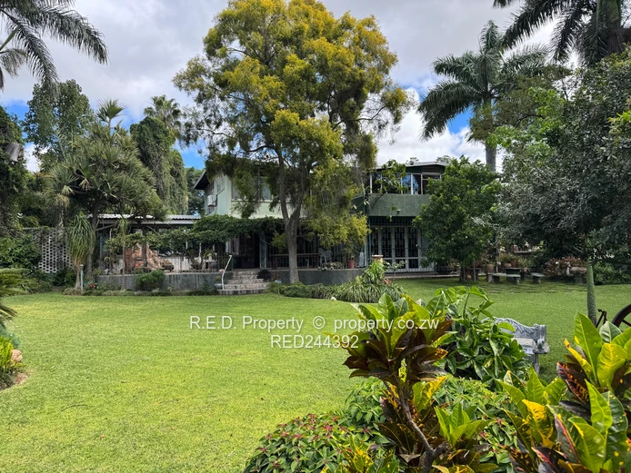 Stunning Family Residence In Hillside!