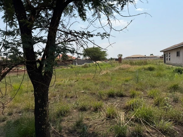 Stands & Residential Land