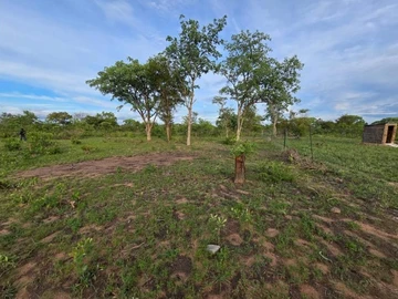 Farm & Agricultural Land