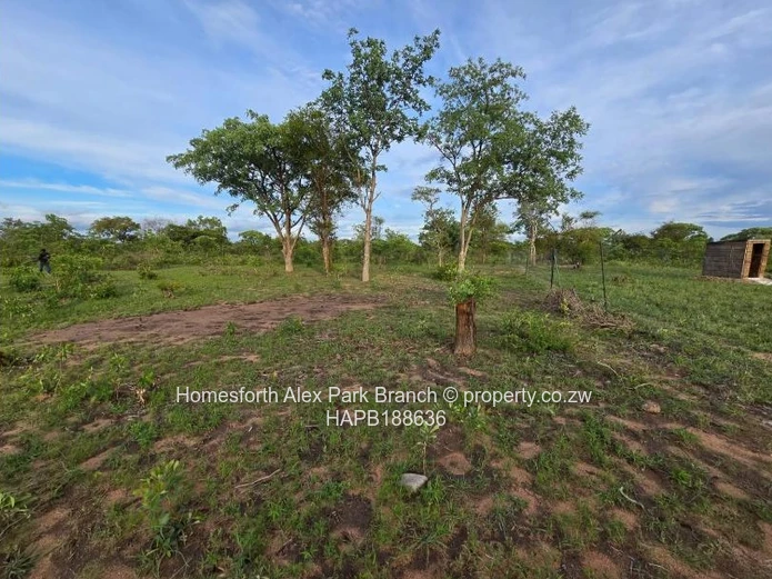 Kadoma Clonmoran Plot 
