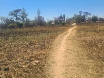 Farm & Agricultural Land