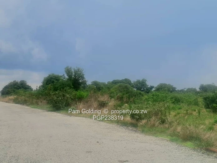 Perfect Agro-Residential Plot (Sole Mandate)