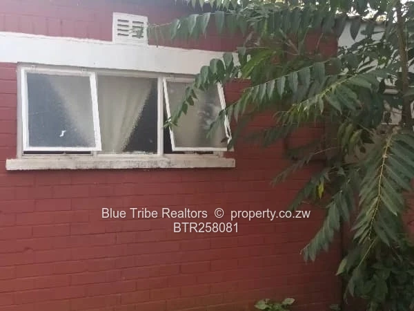Haig Park Property For Sale 